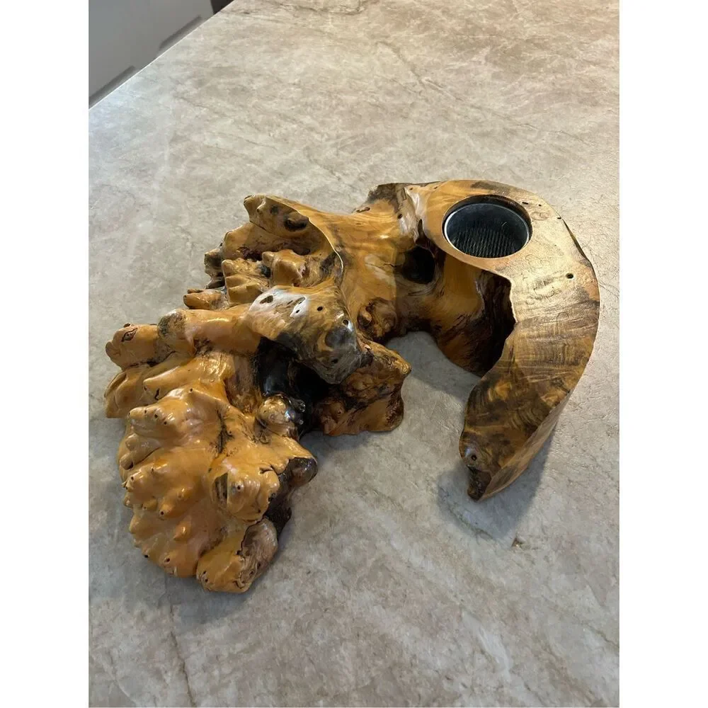 Driftwood Specimen Display